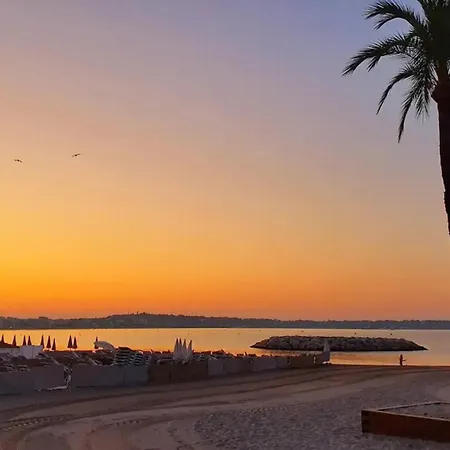 Appartement Cosy 1 Bed In Golfe Juan - Tennis * Pool & Beach!